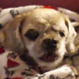 Meet your Posher, Debora